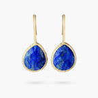 Earth Healing Energy Dangle Earrings - Luulink