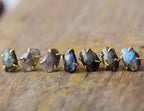 Majestic Queen Stud Earrings - Luulink